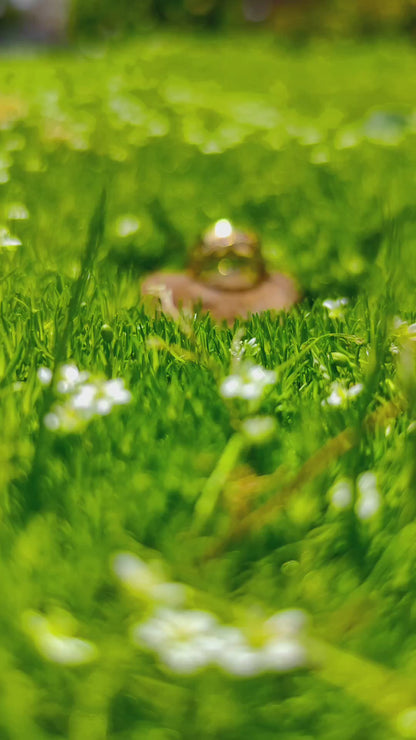 Anillo Matrimonio: Plata 950 Con Zircón,