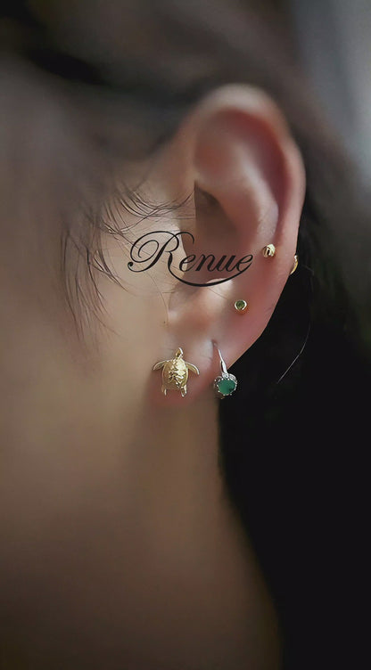 Aretes Tortugas en Plata